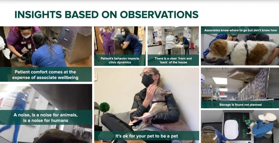 Veterinary Clinic Design — research insight 1