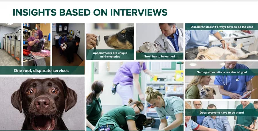 Veterinary Clinic Design — research insight 2