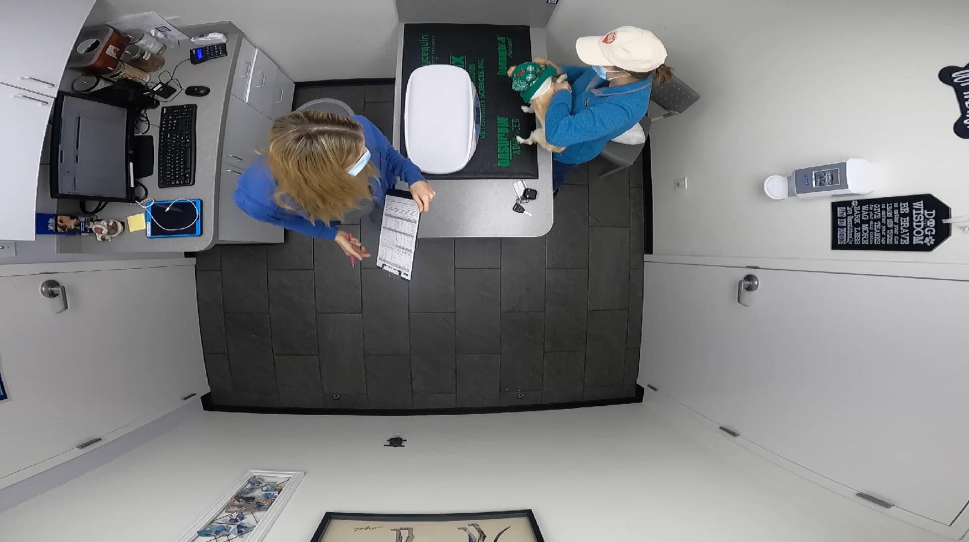 Veterinary Clinic Design — Mars Petcare case study